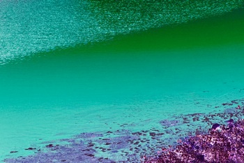 L 043C